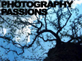 image representing the Photography community